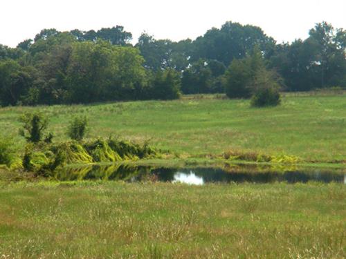 38 ac. To Build Your Dream Home 38 ac. To Build Your Dream Home